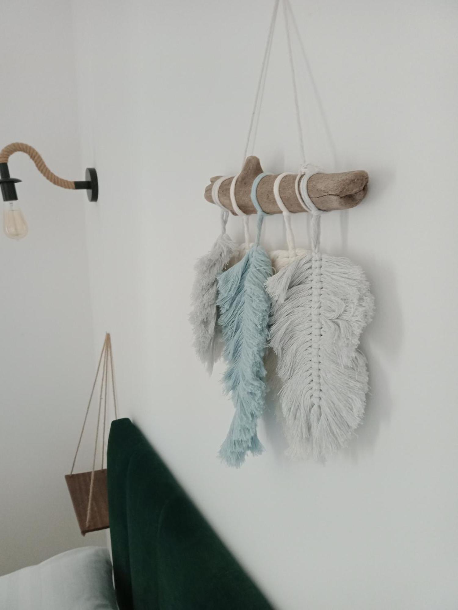 Czarny Baran Daire Dębki Oda fotoğraf
